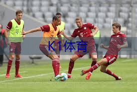 可以自动回球乒乓球台