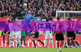 实心球室内健身