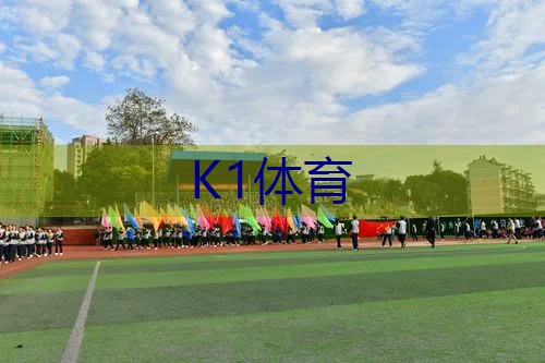 携手飞跃！室外体育云梯设备让你更接近成功