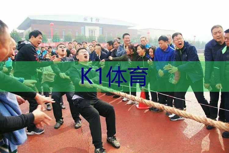 百宝力网球拍170318
