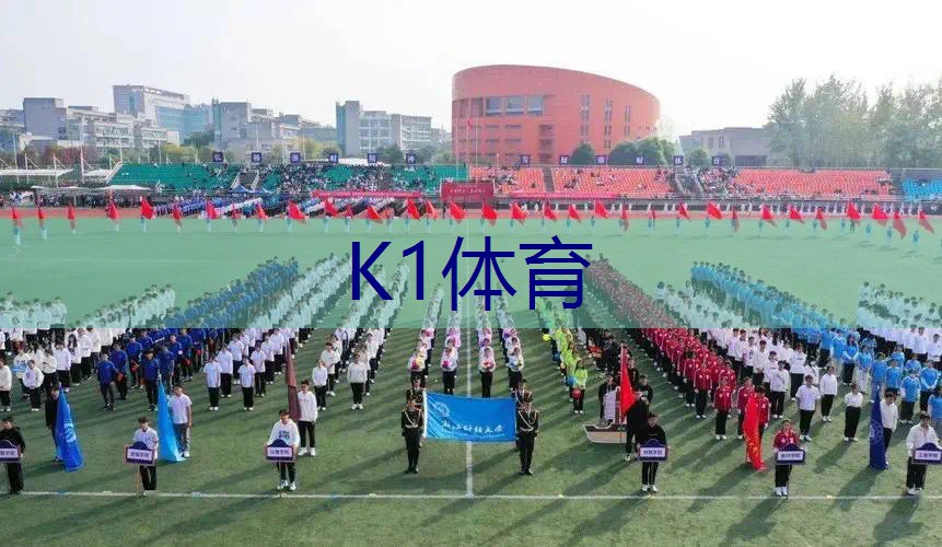 什么网球拍好用又实用