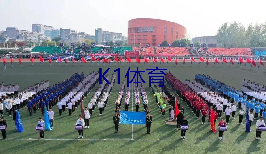 网球拍石墨烯和全碳素