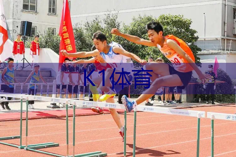 百宝力网球拍2017款