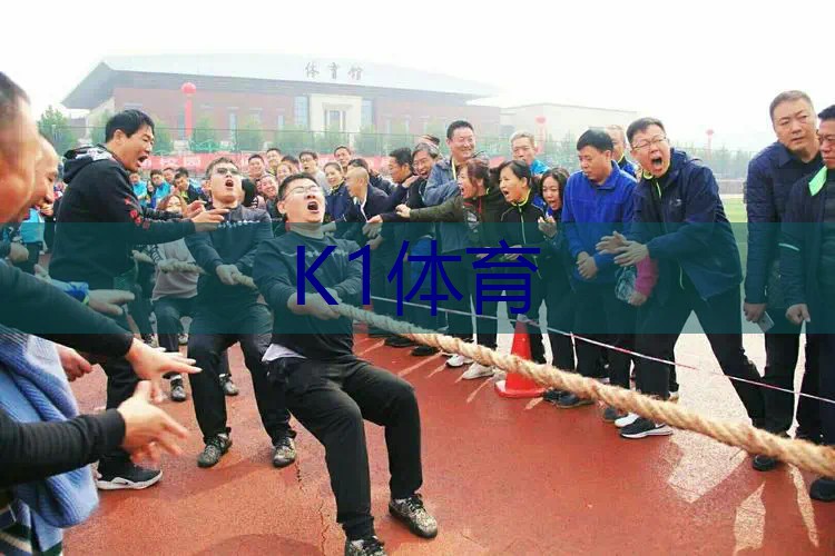 迪卡侬网球拍的标志