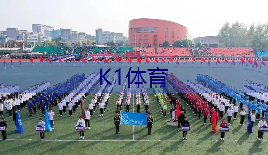 网球拍为什么要插电源呢