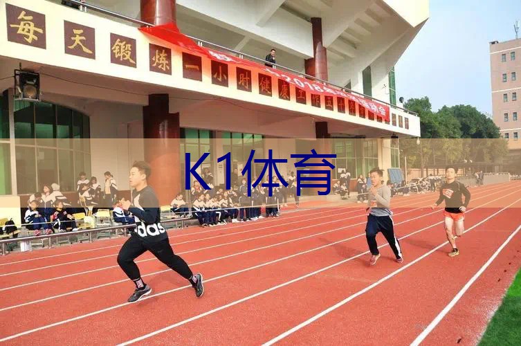 网球拍什么样的结实