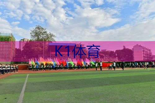 初学者用进阶网球拍