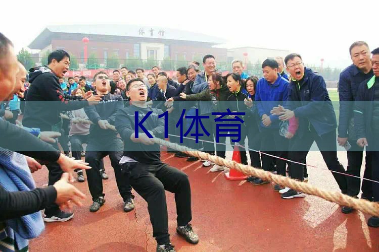 网球拍有什么类型的好