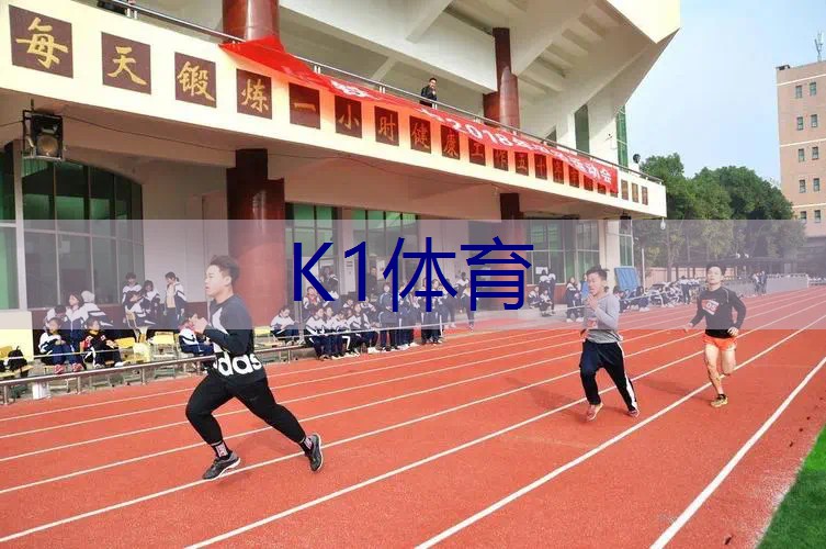 什么网球拍更好用耐用又便宜