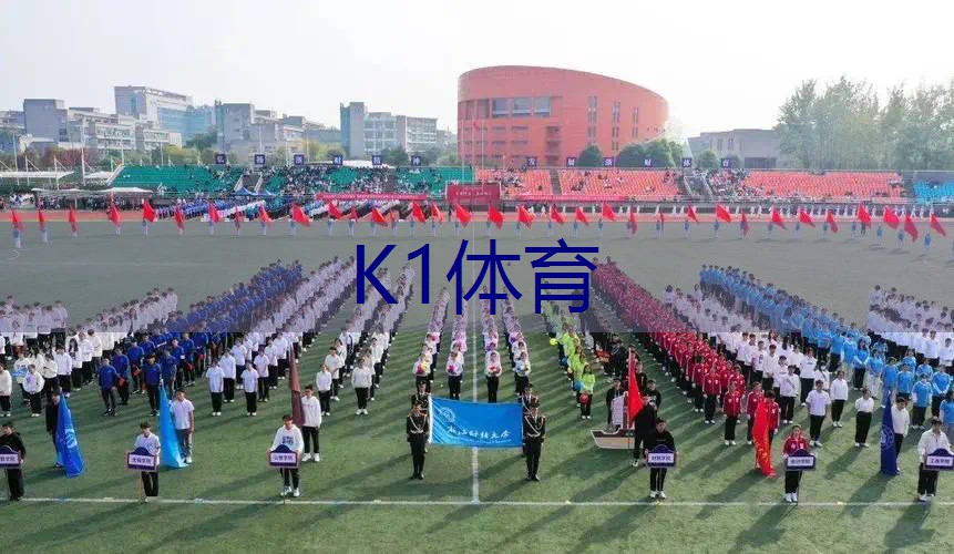 国服花木兰网球拍的皮肤